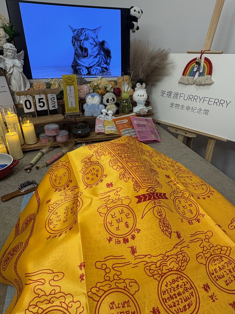 在周口，太昊陵教会我们的事